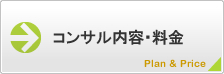 コンサル内容・料金